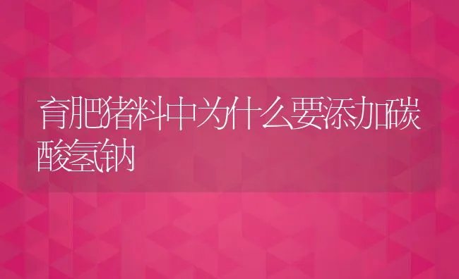 育肥猪料中为什么要添加碳酸氢钠 | 动物养殖学堂