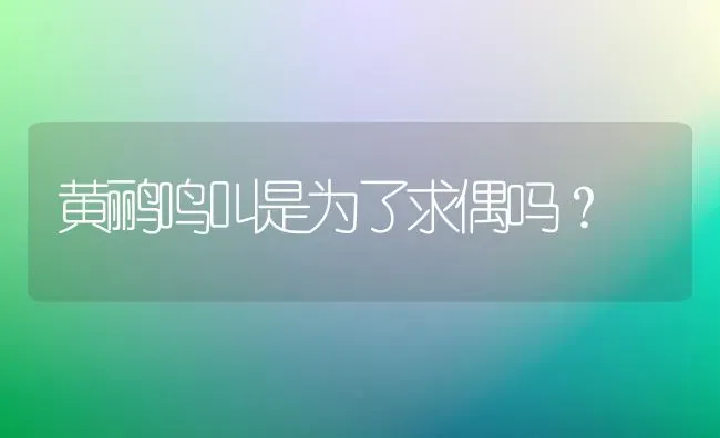 我是特别喜欢狗狗的，但是最近新养一只总是控制不了打他。讨厌现在的自己希望自救忏悔？ | 动物养殖问答