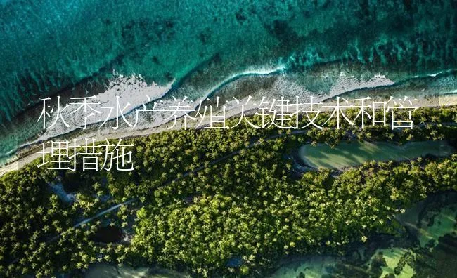 秋季水产养殖关键技术和管理措施 | 海水养殖技术