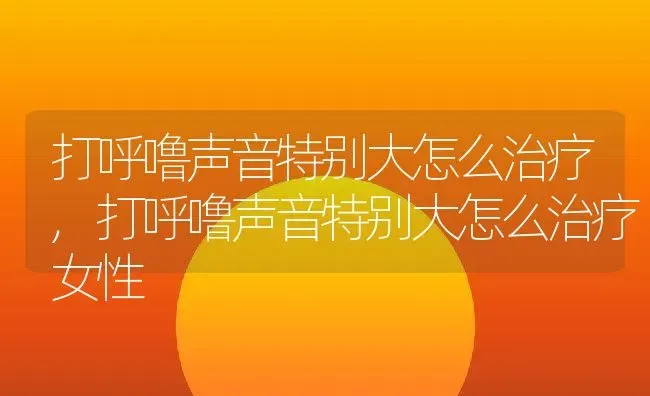 打呼噜声音特别大怎么治疗,打呼噜声音特别大怎么治疗女性 | 宠物百科知识