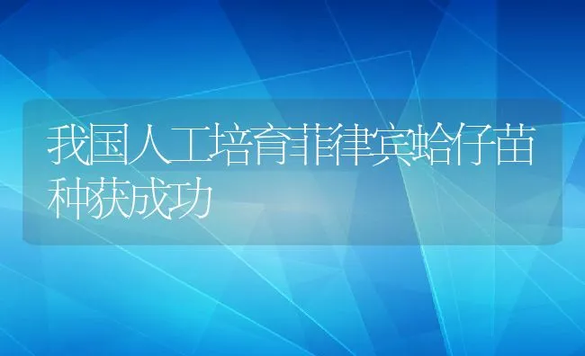 我国人工培育菲律宾蛤仔苗种获成功 | 动物养殖饲料