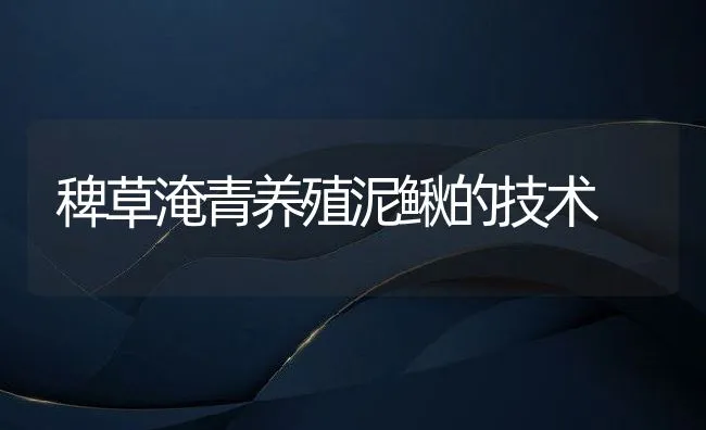 稗草淹青养殖泥鳅的技术 | 动物养殖学堂