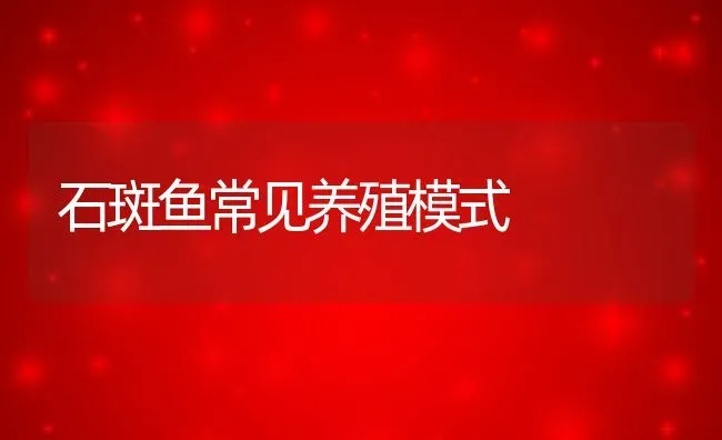 石斑鱼常见养殖模式 | 动物养殖百科