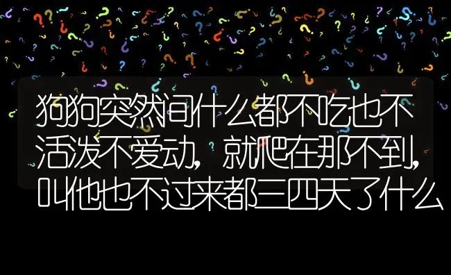 狗狗突然间什么都不吃也不活泼不爱动，就爬在那不到，叫他也不过来都三四天了什么都不吃怎么回事啊？ | 动物养殖问答