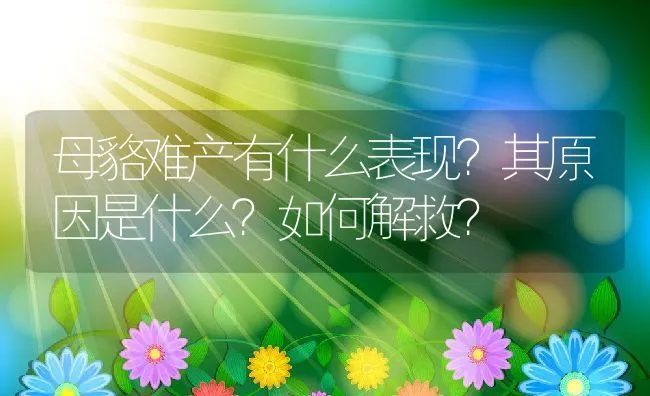 母貉难产有什么表现？其原因是什么？如何解救？ | 动物养殖学堂