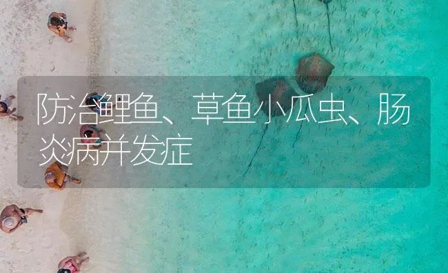 防治鲤鱼、草鱼小瓜虫、肠炎病并发症 | 海水养殖技术