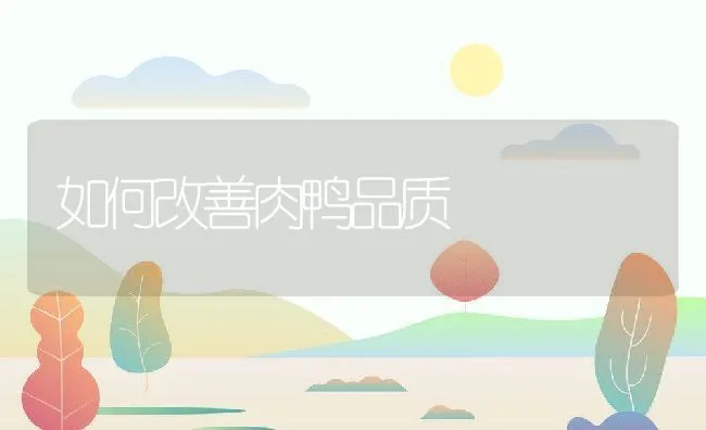 鸡白痢的症状与防治 | 动物养殖学堂