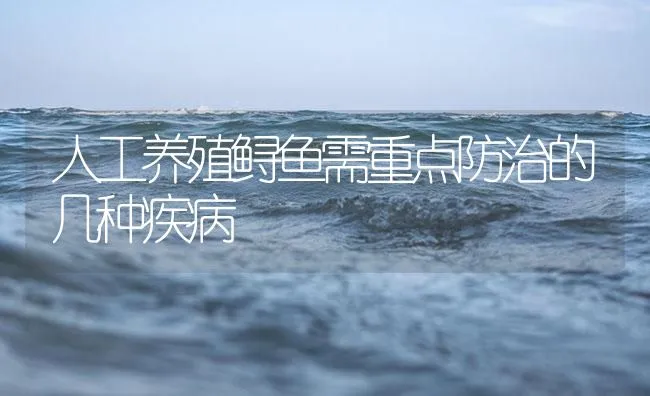 人工养殖鲟鱼需重点防治的几种疾病 | 海水养殖技术