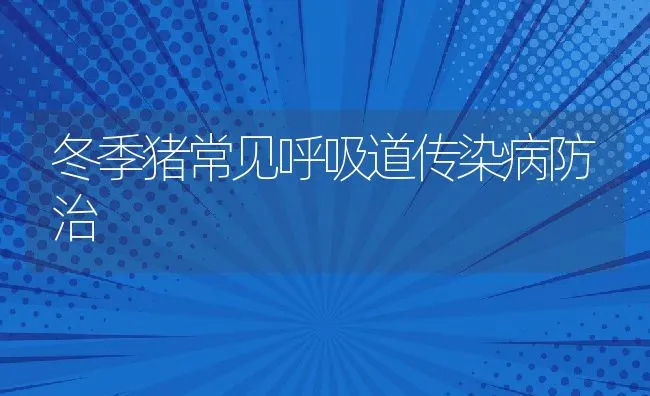 冬季猪常见呼吸道传染病防治 | 动物养殖学堂