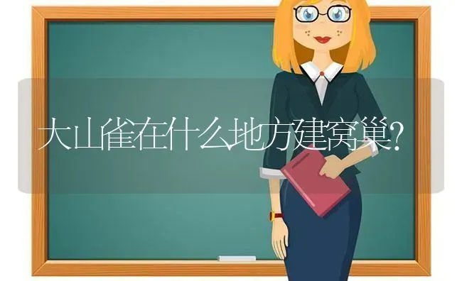 小猫一个月断奶好吗？ | 动物养殖问答