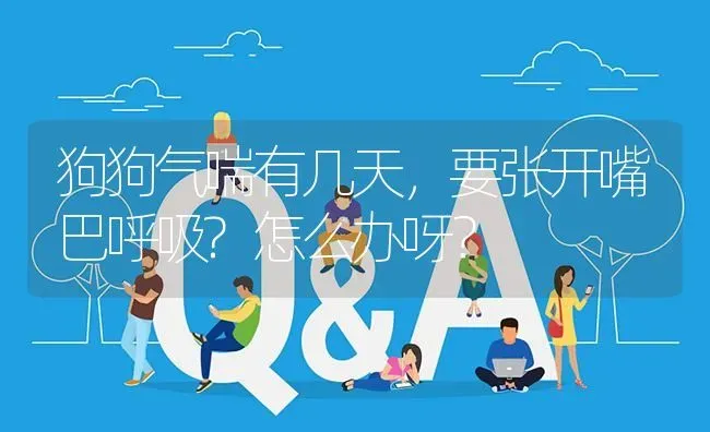 狗狗气喘有几天，要张开嘴巴呼吸?怎么办呀？ | 动物养殖问答