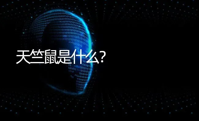 几个月的小猫咪为什么不与我亲近？ | 动物养殖问答