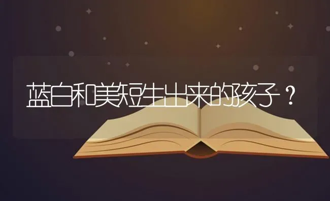 蓝白和美短生出来的孩子？ | 动物养殖问答