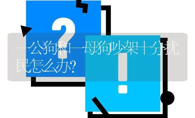 一公狗和一母狗吵架十分扰民怎么办？ | 动物养殖问答