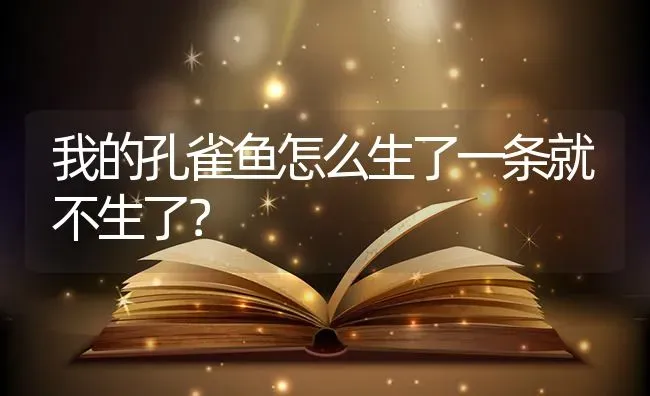 我的孔雀鱼怎么生了一条就不生了？ | 鱼类宠物饲养