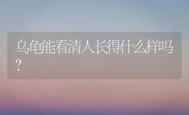 乌龟能看清人长得什么样吗？ | 动物养殖问答