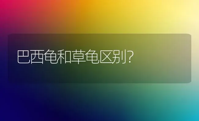 巴西龟和草龟区别？ | 动物养殖问答