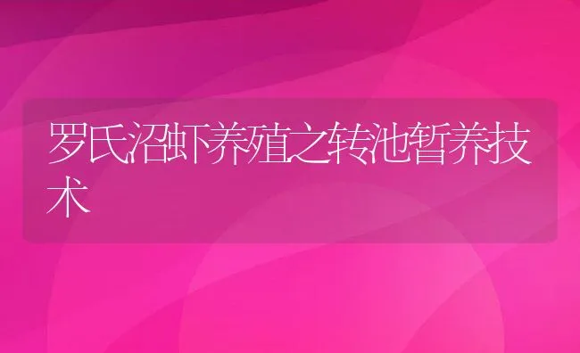 罗氏沼虾养殖之转池暂养技术 | 动物养殖饲料