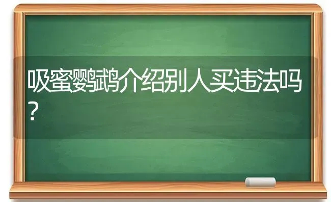 一只接近20斤的拉布拉多，两个半月的样子，一天该吃多少狗粮阿?我看网上说的小狗是体重的6%，所以是？ | 动物养殖问答