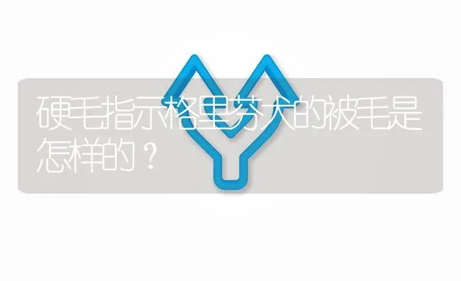 硬毛指示格里芬犬的被毛是怎样的？ | 动物养殖问答