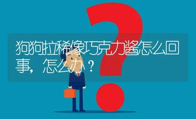 狗狗拉稀像巧克力酱怎么回事，怎么办？ | 动物养殖问答