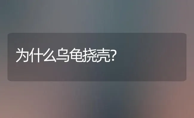 跪求自己在家治疗犬瘟热方法，医院说治不治没有用了？ | 动物养殖问答