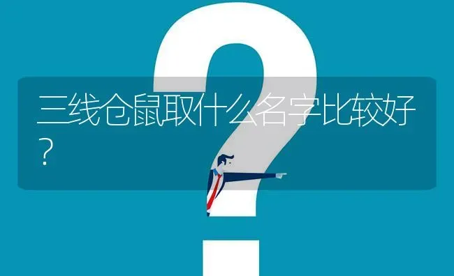 三线仓鼠取什么名字比较好？ | 动物养殖问答