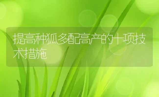 提高种狐多配高产的十项技术措施 | 动物养殖百科