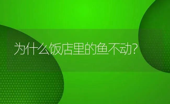 为什么饭店里的鱼不动？ | 鱼类宠物饲养