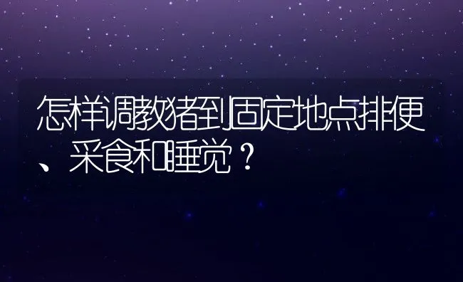 黄鳝的饲料种类与喂养实例 | 动物养殖学堂