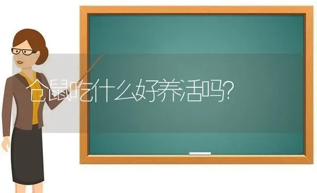 仓鼠吃什么好养活吗？ | 动物养殖问答