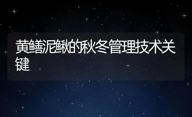 黄鳝泥鳅的秋冬管理技术关键 | 动物养殖饲料