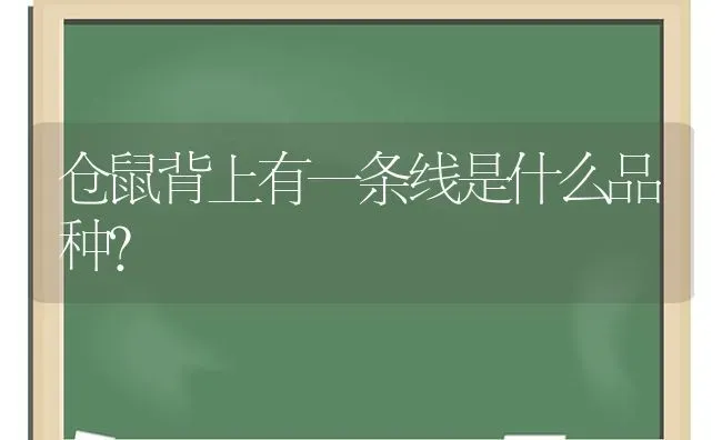 狗狗要生产前，会有什么预兆？ | 动物养殖问答