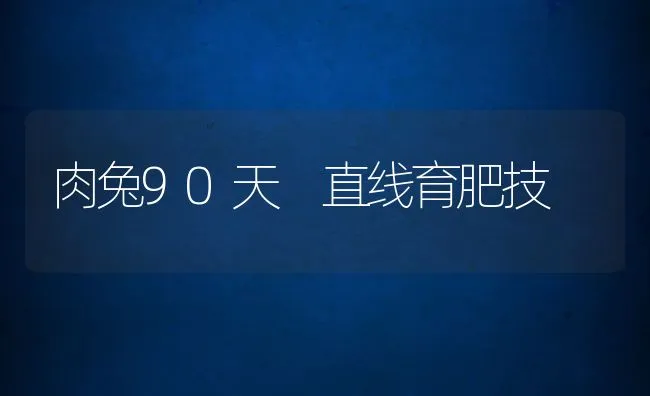 肉兔90天 直线育肥技 | 动物养殖学堂