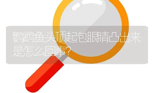 鹦鹉鱼头顶起包眼睛凸出来是怎么回事？ | 鱼类宠物饲养