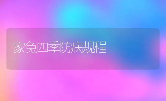 家兔四季防病规程 | 水产养殖知识