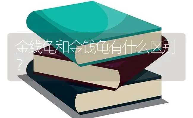 金线龟和金钱龟有什么区别？ | 动物养殖问答