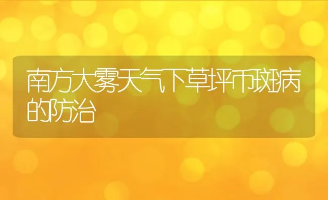 南方大雾天气下草坪币斑病的防治 | 水产养殖知识