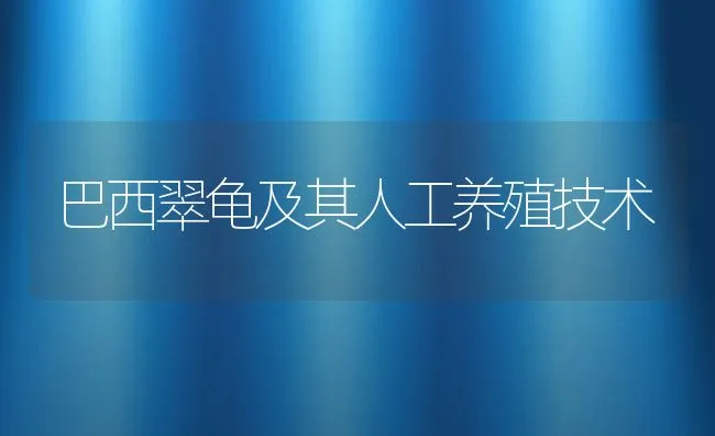 巴西翠龟及其人工养殖技术 | 水产养殖知识