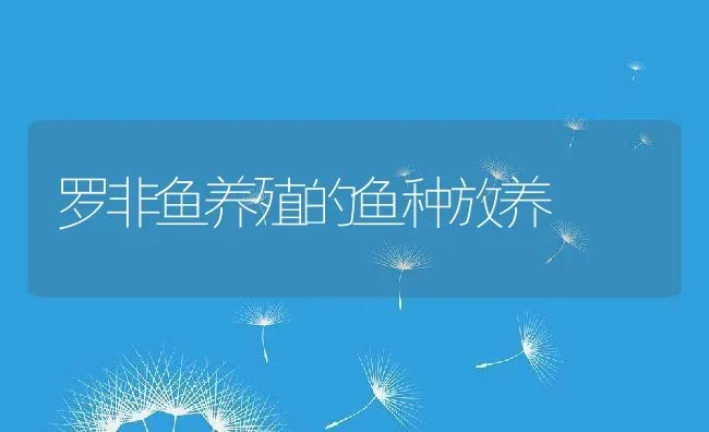 罗非鱼养殖的鱼种放养 | 动物养殖教程