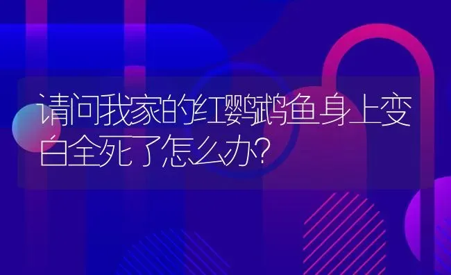 请问我家的红鹦鹉鱼身上变白全死了怎么办？ | 鱼类宠物饲养