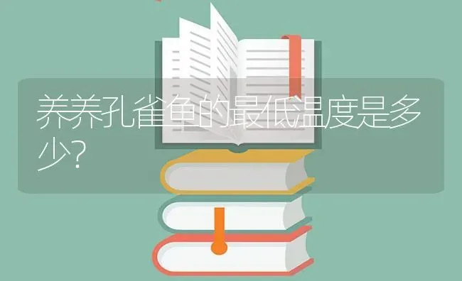 养养孔雀鱼的最低温度是多少？ | 鱼类宠物饲养