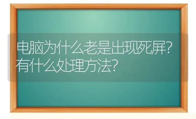 电脑为什么老是出现死屏？有什么处理方法？ | 动物养殖问答