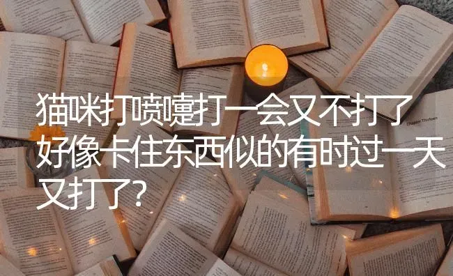 猫咪打喷嚏打一会又不打了好像卡住东西似的有时过一天又打了？ | 动物养殖问答