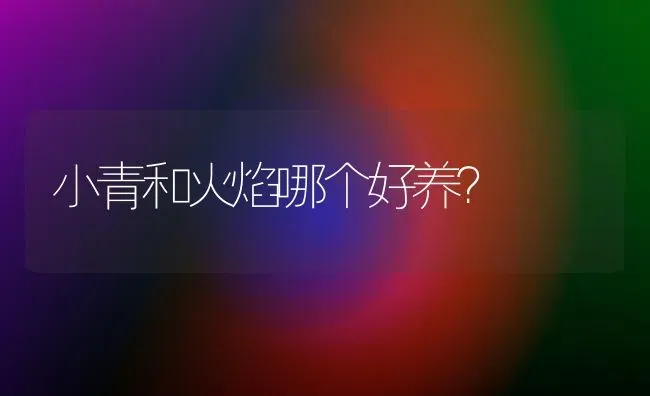 小青和火焰哪个好养？ | 动物养殖问答