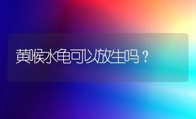 黄喉水龟可以放生吗？ | 动物养殖问答