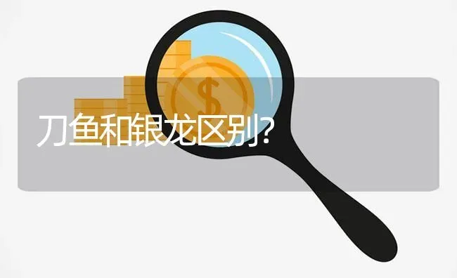 孔雀鱼和凤尾鱼是一种鱼吗？ | 鱼类宠物饲养