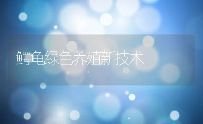 鳄龟绿色养殖新技术 | 动物养殖饲料