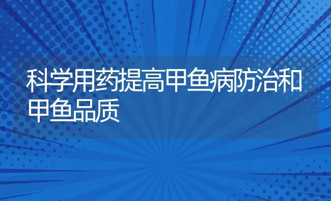 种草养兔降本增效 | 水产养殖知识