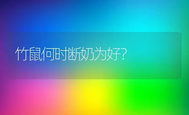 竹鼠何时断奶为好？ | 动物养殖教程